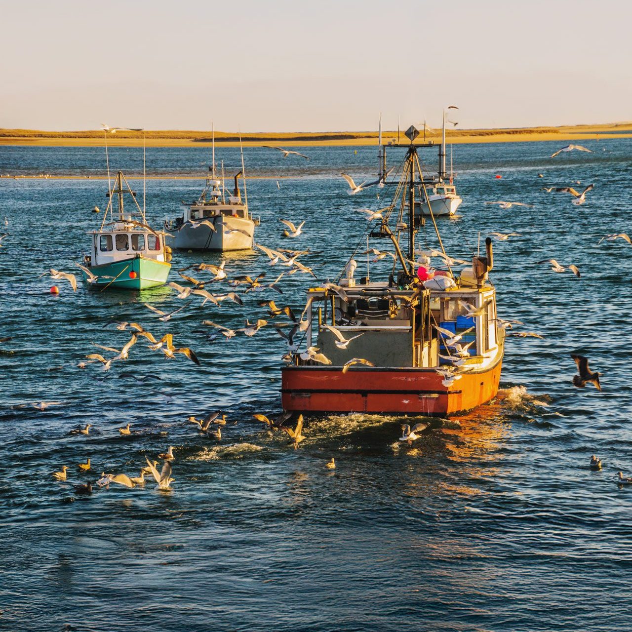 New Possibilities for Human Lives and Livelihoods fishing boats