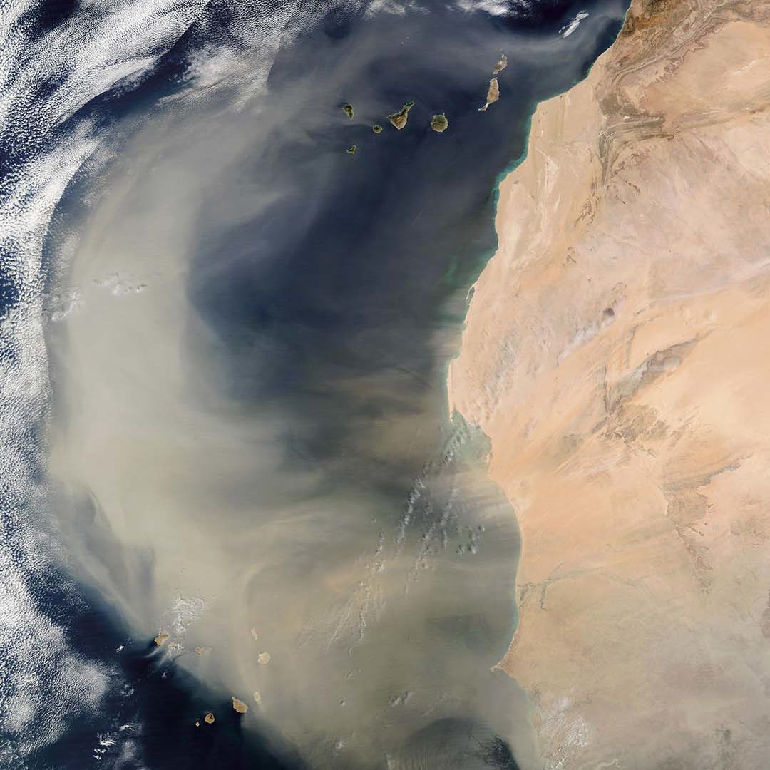 The oceans are often naturally fertilized by dust storms like this one in 2003, which covered a vast swath of the Atlantic Ocean with a plume of iron-rich dust from the Sahara Desert. The plume extended more than 1,000 miles (1,600 kilometers), from the Cape Verde Islands (lower left) to the Canary Islands (top center). Iron is essential for the growth of tiny marine plants, which use carbon dioxide and reduce carbon dioxide levels in the air.
Courtesy of Jacques Descloitres, MODIS Rapid Response Team, NASA Goddard Space Flight Center
© National Aeronautic and Space Administration