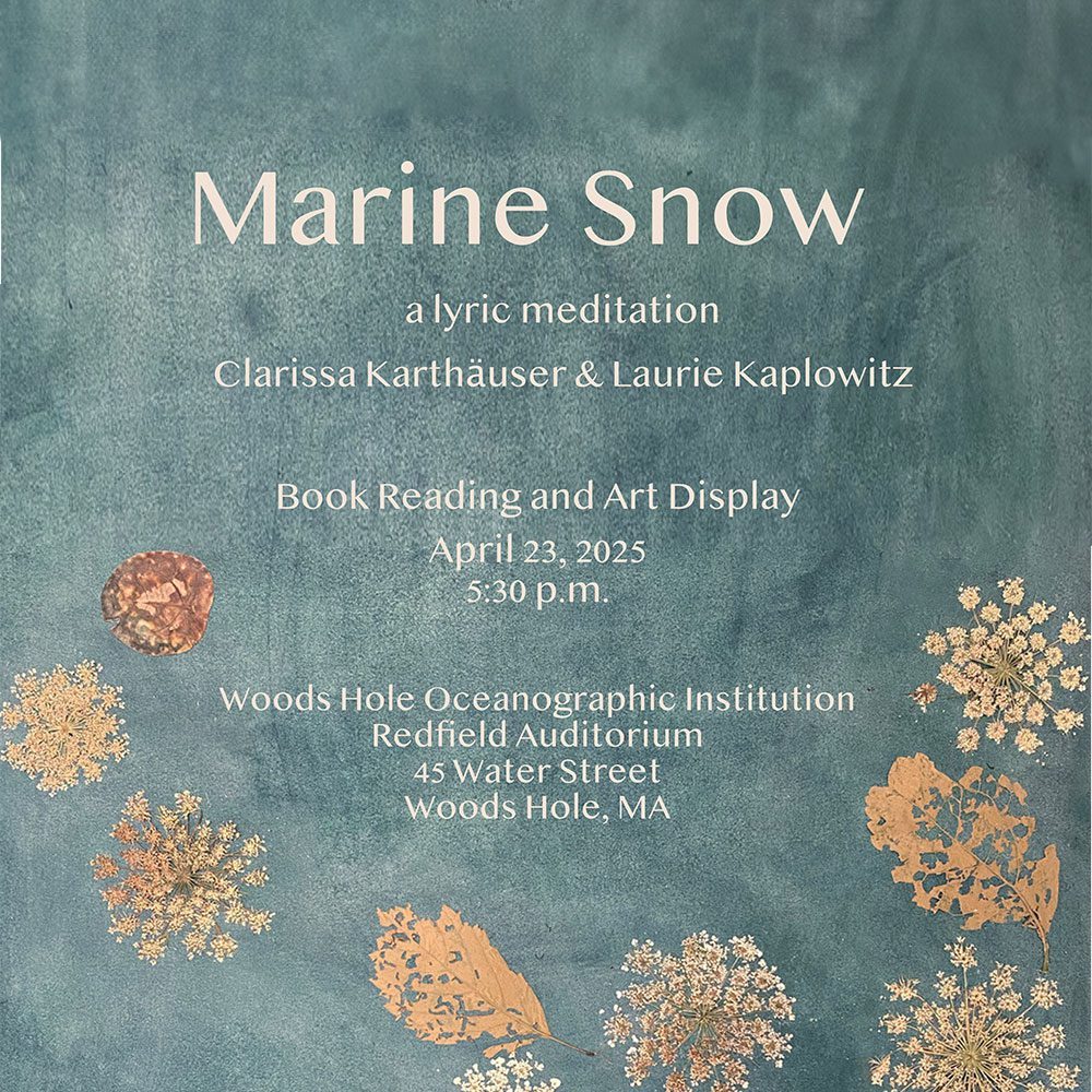marine snow