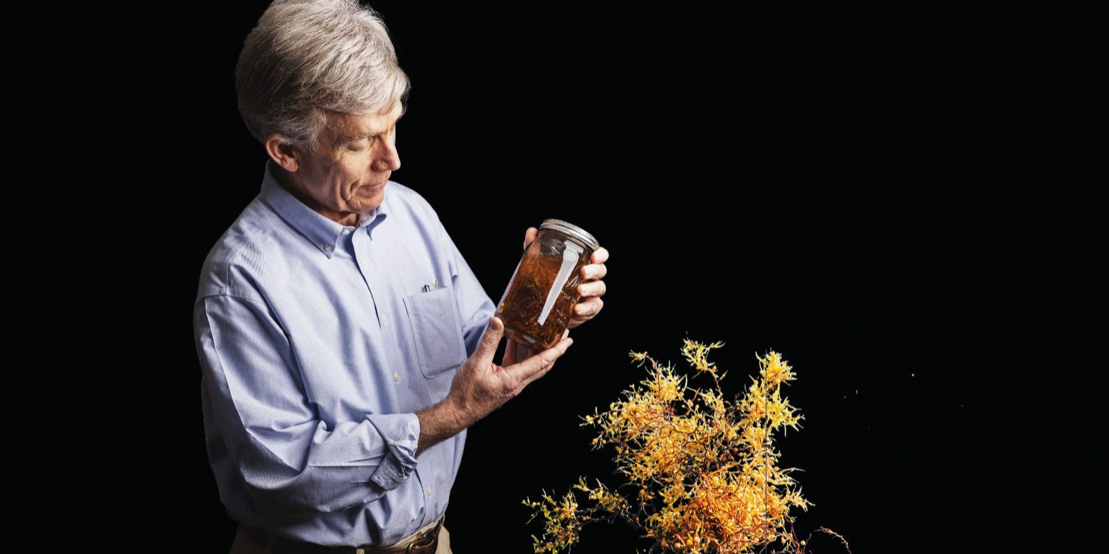 WHOI senior scientist Dennis McGillicuddy holds a jarred Sargassum sample