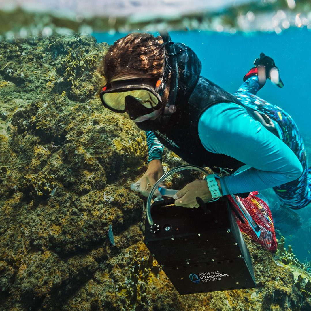Kalina underwater
