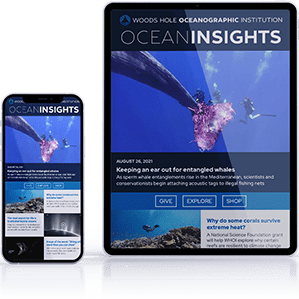 ocean-insights