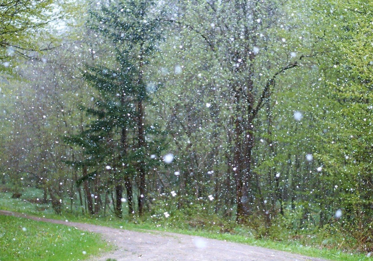 rain