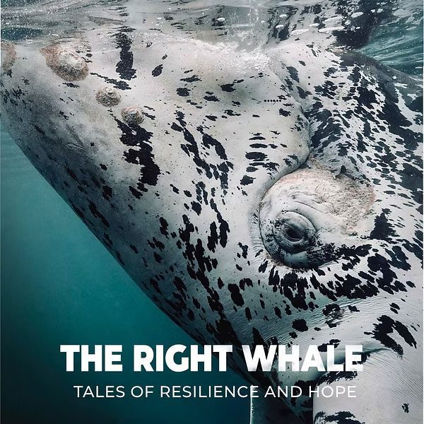 The Right Whale movie poster